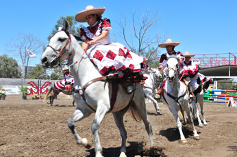 CALIENTE JOCKEY CLUB (5)