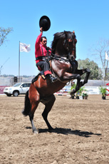 CALIENTE JOCKEY CLUB (6)