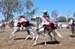 CALIENTE JOCKEY CLUB (4)